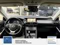 Lexus IS 300h Sport Line Park-Assistent mit Rückfahrkame Blanc - thumbnail 17