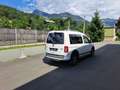 Volkswagen Caddy Kombi Cross 2,0 TDI DPF DSG - thumbnail 8