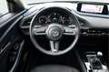 Mazda CX-30 SKYACTIV-X 2.0l Selection 360° Kamera/LED- Grau - thumbnail 13