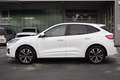 Ford Kuga ST-LINE X 2.5 PHEV Adap.LED, ACC, Pano Weiß - thumbnail 7