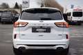 Ford Kuga ST-LINE X 2.5 PHEV Adap.LED, ACC, Pano Weiß - thumbnail 4