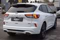 Ford Kuga ST-LINE X 2.5 PHEV Adap.LED, ACC, Pano Weiß - thumbnail 2