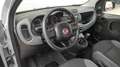 Fiat Panda Panda III 1.2 Easy easypower Gpl 69cv my19 * PROMO Grau - thumbnail 7