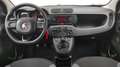 Fiat Panda Panda III 1.2 Easy easypower Gpl 69cv my19 * PROMO Grau - thumbnail 9
