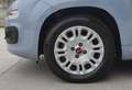 Fiat Panda Panda III 1.2 Easy easypower Gpl 69cv my19 * PROMO Grau - thumbnail 14