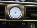 Lexus IS 300 300h Executive Grau - thumbnail 20