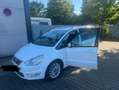 Ford Galaxy 2.0 TDCi DPF Aut. Champions Edition. Weiß - thumbnail 5