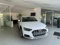 Audi A4 allroad Avant 40tdi mhev Business quattro 204cv s-tronic Bianco - thumbnail 1