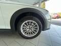 Audi A4 allroad Avant 40tdi mhev Business quattro 204cv s-tronic Bianco - thumbnail 8