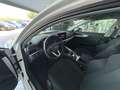 Audi A4 allroad Avant 40tdi mhev Business quattro 204cv s-tronic Bianco - thumbnail 5
