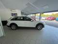 Audi A4 allroad Avant 40tdi mhev Business quattro 204cv s-tronic Bianco - thumbnail 2