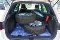 SEAT Arona 1.0 TSI Xcellence Weiß - thumbnail 21