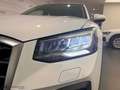 Audi Q2 MY 21  30 TDI S TRONIC MY 23 Bianco - thumbnail 9