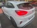 Ford Puma Puma 1.0 EcoBoost Hybrid 125 CV S&S aut. ST-Line Blanc - thumbnail 5