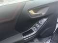 Ford Puma Puma 1.0 EcoBoost Hybrid 125 CV S&S aut. ST-Line Blanc - thumbnail 13