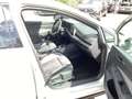Volkswagen Golf Variant Golf VIII Variant 1.5eTSI R-Line DSG Navi LED AC Plateado - thumbnail 13