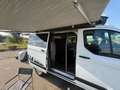 Ford Tourneo Custom “ NUGGET “  WESTFALIA EcoD 185CV Blanc - thumbnail 13