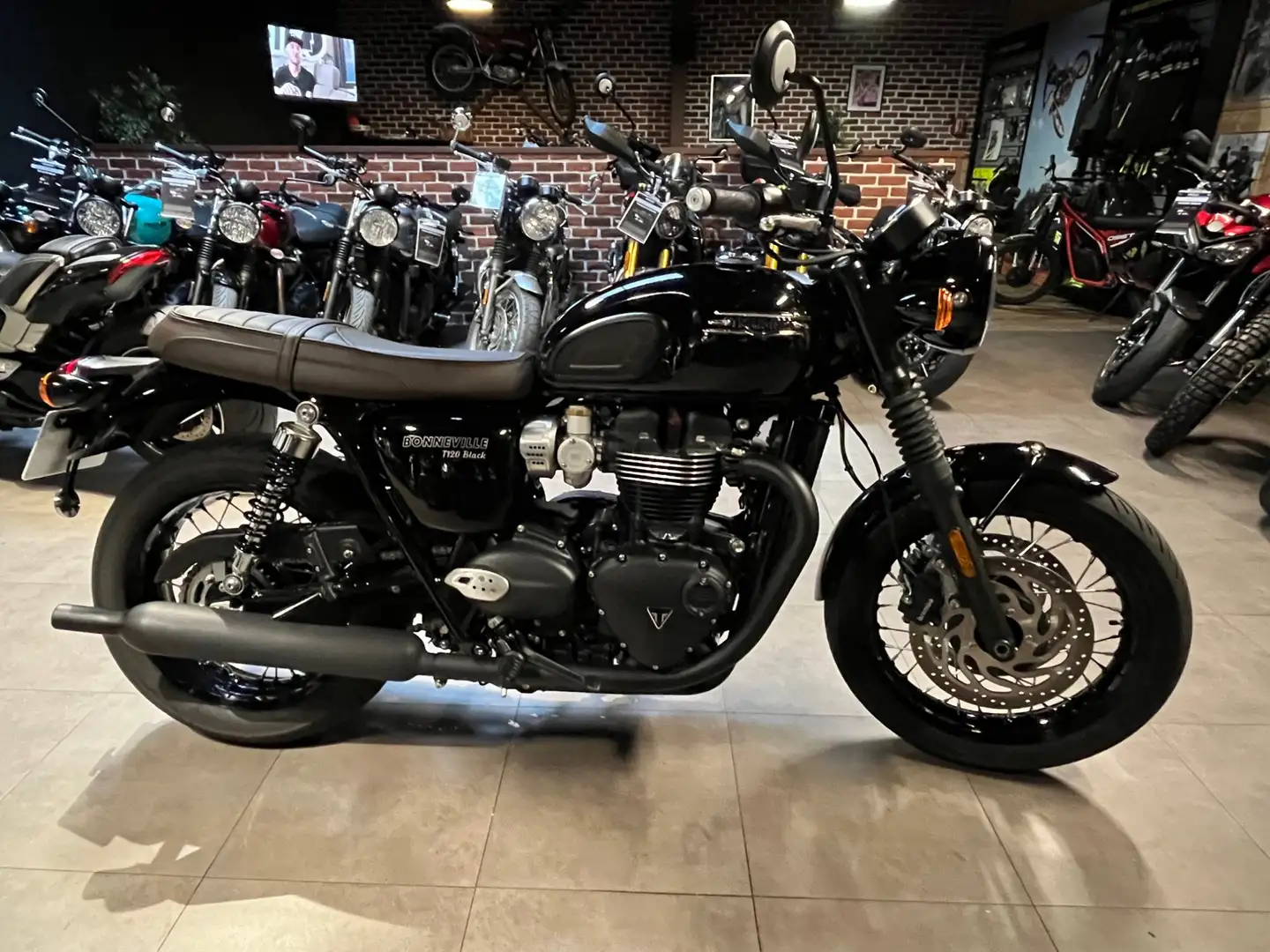 Triumph Bonneville T120 - 2