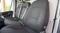 Fiat Ducato 35 2.2 Mjt 140CV PLM-TM Furgone Wit - thumbnail 12
