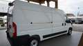 Fiat Ducato 35 2.2 Mjt 140CV PLM-TM Furgone Wit - thumbnail 5