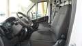 Fiat Ducato 35 2.2 Mjt 140CV PLM-TM Furgone Wit - thumbnail 9