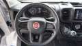 Fiat Ducato 35 2.2 Mjt 140CV PLM-TM Furgone Wit - thumbnail 13