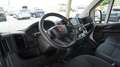 Fiat Ducato 35 2.2 Mjt 140CV PLM-TM Furgone Wit - thumbnail 10