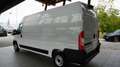 Fiat Ducato 35 2.2 Mjt 140CV PLM-TM Furgone Wit - thumbnail 3