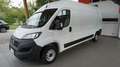 Fiat Ducato 35 2.2 Mjt 140CV PLM-TM Furgone Wit - thumbnail 1