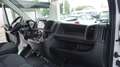 Fiat Ducato 35 2.2 Mjt 140CV PLM-TM Furgone Wit - thumbnail 26