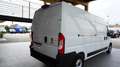 Fiat Ducato 35 2.2 Mjt 140CV PLM-TM Furgone Wit - thumbnail 4