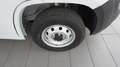 Fiat Ducato 35 2.2 Mjt 140CV PLM-TM Furgone Wit - thumbnail 8