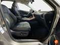 Lexus NX 300h 2.5 Business 2WD Gris - thumbnail 15