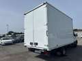 Iveco Daily 2.3 MOTORE NUOVO CASSONE GEMELLARE Bianco - thumbnail 5