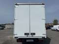 Iveco Daily 2.3 MOTORE NUOVO CASSONE GEMELLARE Beyaz - thumbnail 7
