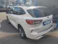 Ford Kuga Plug-In Hybrid ST-Line X AHK Panoramadach Wit - thumbnail 5