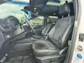 Ford Kuga Plug-In Hybrid ST-Line X AHK Panoramadach Wit - thumbnail 10