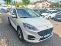 Ford Kuga Plug-In Hybrid ST-Line X AHK Panoramadach Wit - thumbnail 1