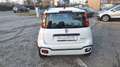 Fiat Panda 1.0 firefly hybrid Cross s/// PER NEOPATENTATO /// Blanc - thumbnail 14