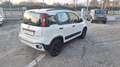 Fiat Panda 1.0 firefly hybrid Cross s/// PER NEOPATENTATO /// Blanc - thumbnail 15