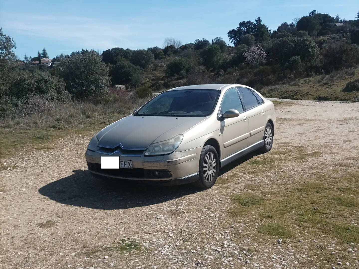 Citroen C5 C5 Break 1.6HDI Collection FAP Collection Beige - 2