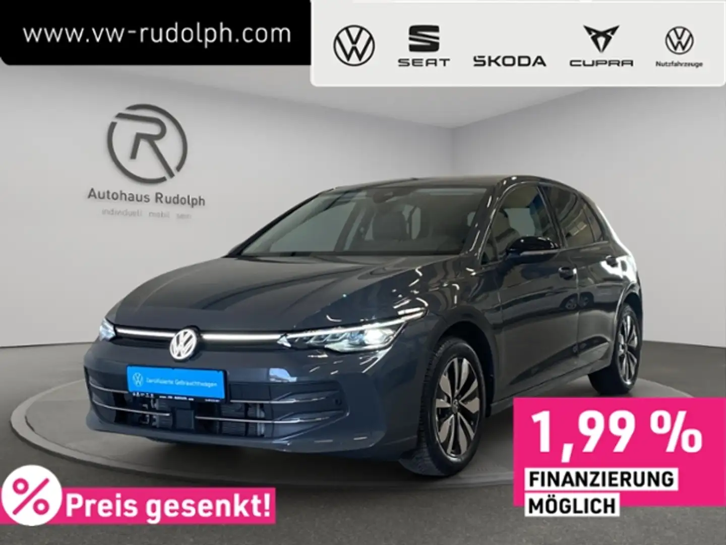 Volkswagen Golf VIII 2.0 TDI DSG Goal / Navi LED RFK AHK Grau - 1