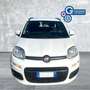 Fiat Panda Panda 0.9 TwinAir Turbo Natural Power Easy Bianco - thumbnail 2