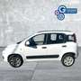 Fiat Panda Panda 0.9 TwinAir Turbo Natural Power Easy Bianco - thumbnail 1