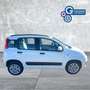 Fiat Panda Panda 0.9 TwinAir Turbo Natural Power Easy Bianco - thumbnail 12