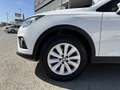 SEAT Arona 1.0 TSI Ecomotive S&S Style 95 Blanc - thumbnail 12
