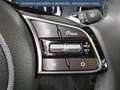 Kia Ceed / cee'd 1.6 GDi 105ch + Plug-In 60.5ch Black \u0026 White  Blanco - thumbnail 16