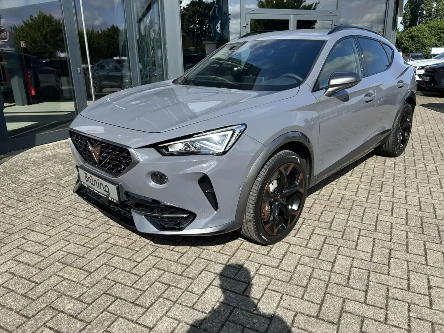 CUPRA Formentor VZ 2.0 TSI 4Drive Klima Navi Rückfahrkamera Grau - 2