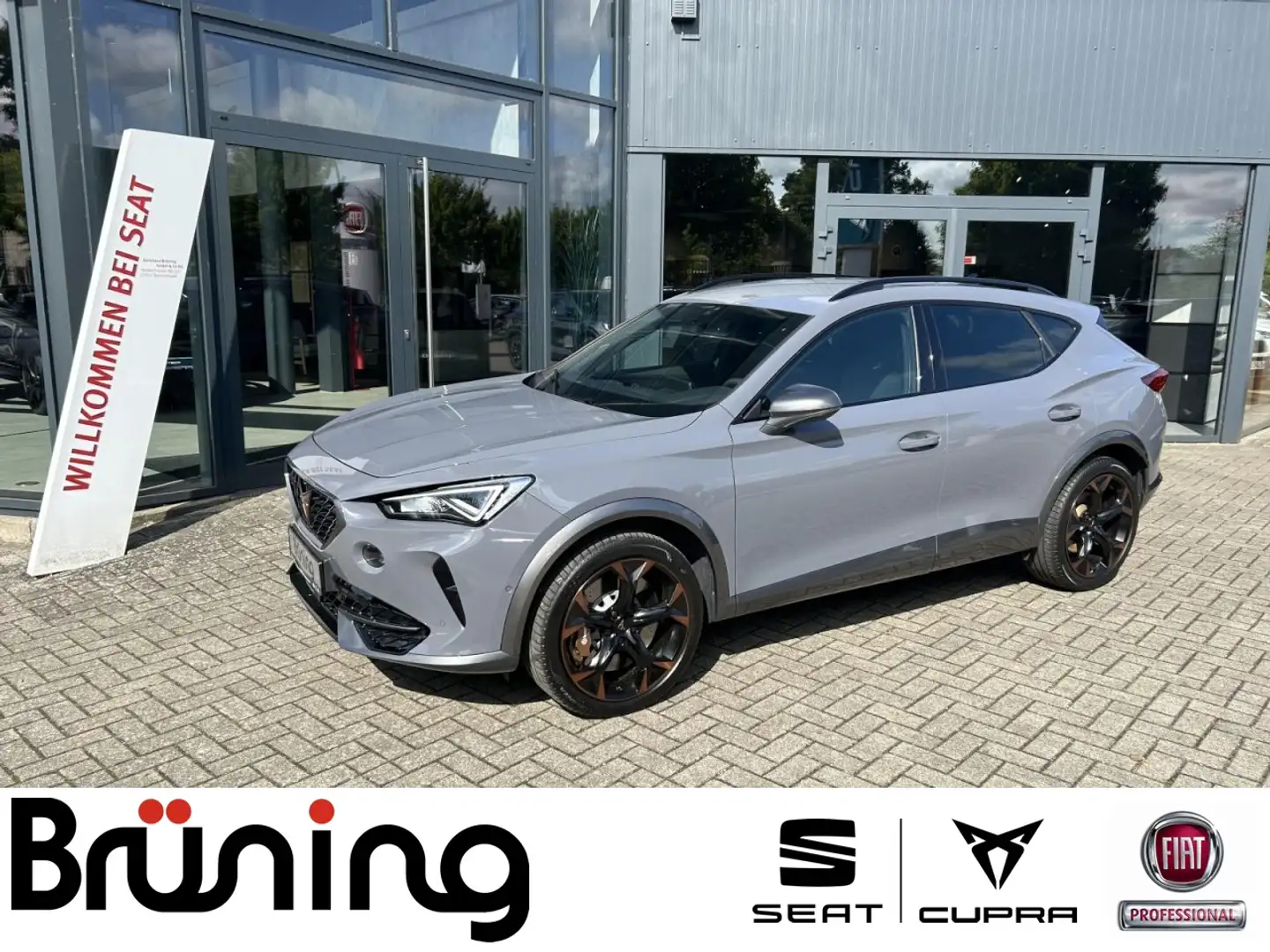 CUPRA Formentor VZ 2.0 TSI 4Drive Klima Navi Rückfahrkamera Grau - 1