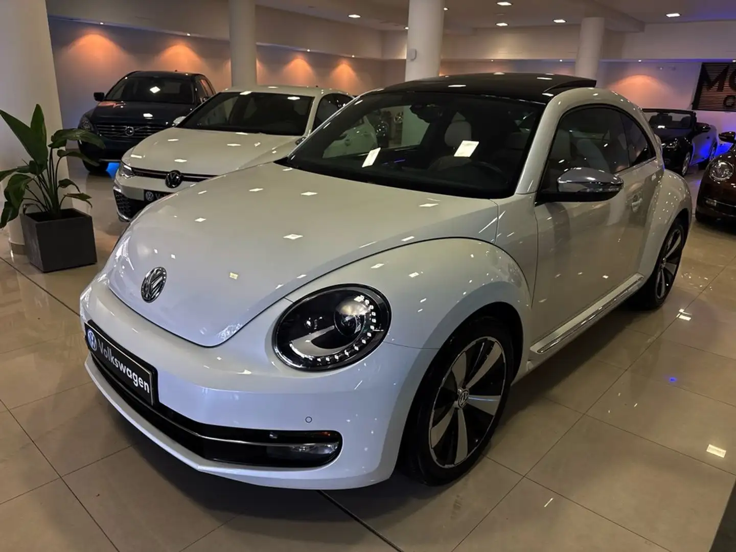 Volkswagen Beetle 1.4 TSI R-Line DSG 150 Blanco - 1